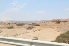 20170402 (6)_Wadi.JPG