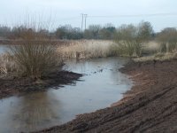 2015 view of NM scrape before new hide 2017 DSCF5021.jpg