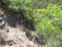 Agua Caliente trail.jpg