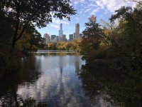 Central Park LakeJPG.JPG