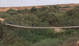 Israel - rope bridge HaBesor NR.jpg