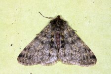 unid_9953-800.jpg