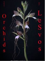 Orchids.JPG