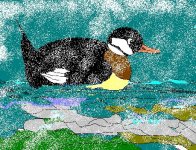 Winter Duck2.JPG