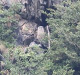 Eagle Owl chick 2017.jpg