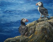 puffins.jpg