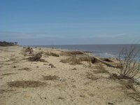 Benacre beach.jpg