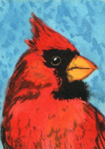 ACEO male cardinal on blue.png