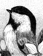 chickadee aceo black ink.jpg