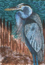 ACEO great blue, edge of the marsh.png