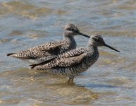 pescadero_beach_2007-05-06.jpg