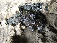 Spraint2_180607.jpg