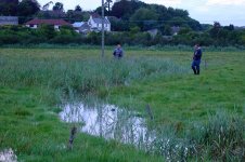 2007_0813Wading0059.jpg