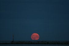 tn_Moon Rising at Baltray.JPG