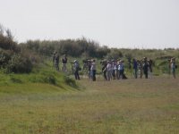 TITCHWELL  GREENISH WARBLER TWITCH 250807.jpg