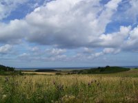 towards wasley hills, salthouse.jpg