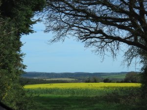 South Downs