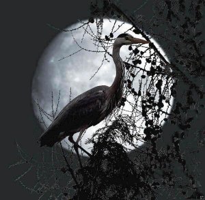 Heron Moon (composite)