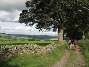 Tynedale ramble