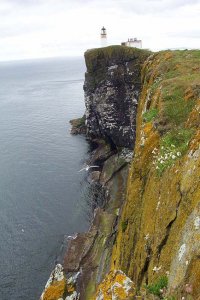 RSPB COPINSAY ORKNEY