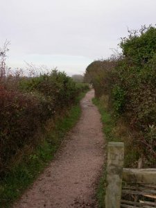 Budleigh Salterton Path