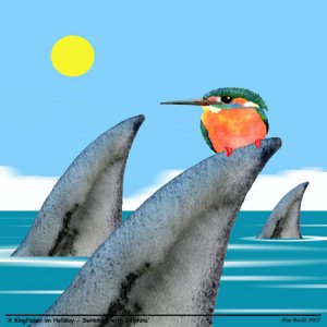 A Kingfisher on Holiday II - Swimming with Dolphins