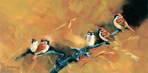 TREE SPARROWS