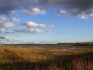 Salthouse Marshes