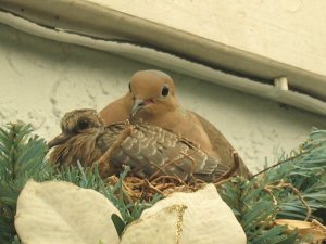 Mom and Baby