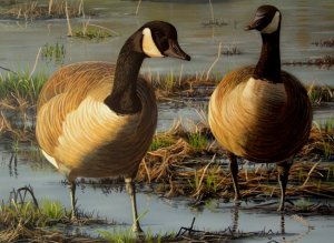 Canada Geese (painting)