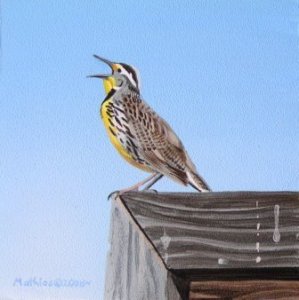 Western Meadowlark