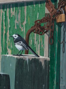 Pied wagtail painting; Behind the green door