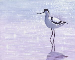 Sparkling avocet-painting