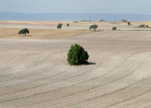 The Monegros desert, Spain
