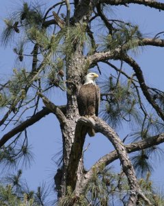 Standing watch