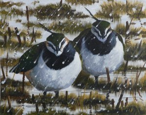 Lapwings in the snow