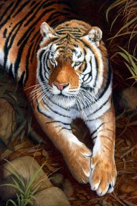 Bengal Tiger Oil painting