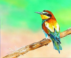 bee eater , painting...