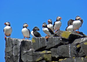 Standing In Line