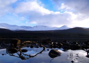 the Cairngorms & Loch Morlich