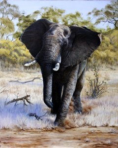 African Elephant Oil Painting
