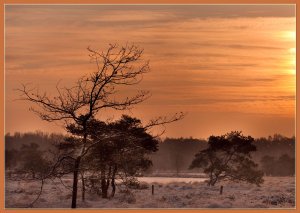 Winter morning has broken in splendor