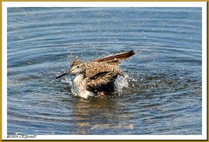 Having a bath