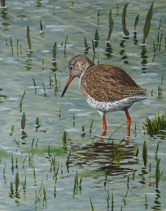 The potterer-Redshank painting