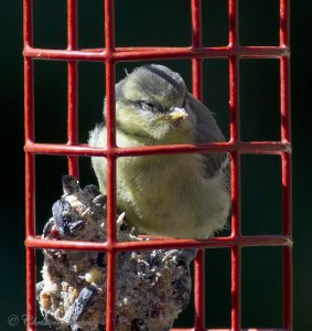 Mum!. How do I get out of here ?