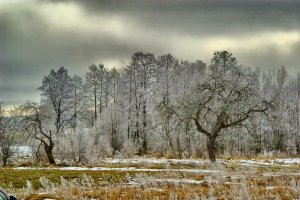 early spring this year