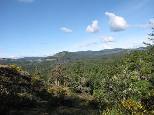 north of thetis lake