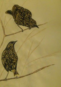 Starling painting