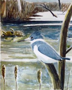 Kingfisher, Turtles, Snow Watercolor