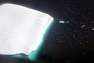 Greenland - gulls and iceberg in southern Greenland